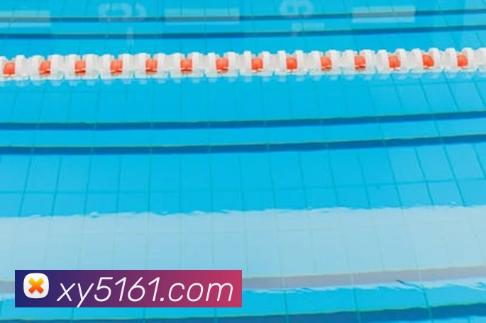 幸运彩票平台生态图